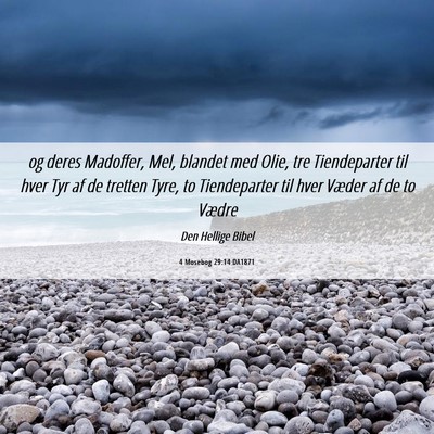 Picture 06 - 4 Mosebog 29:14 DA1871 - og deres Madoffer, Mel, blandet med Olie, tre - Bible Verse Picture
