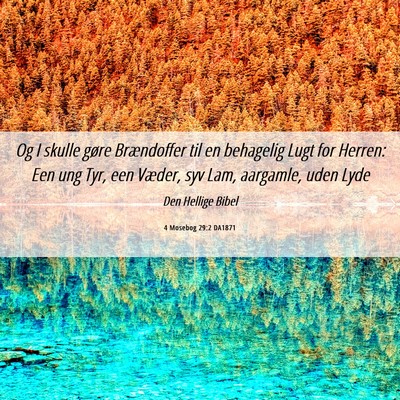 Picture 06 - 4 Mosebog 29:2 DA1871 - Og I skulle gøre Brændoffer til en behagelig - Bible Verse Picture