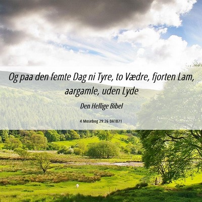 Picture 06 - 4 Mosebog 29:26 DA1871 - Og paa den femte Dag ni Tyre, to Vædre, fjorten - Bible Verse Picture