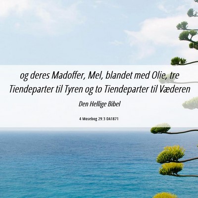 Picture 06 - 4 Mosebog 29:3 DA1871 - og deres Madoffer, Mel, blandet med Olie, tre - Bible Verse Picture