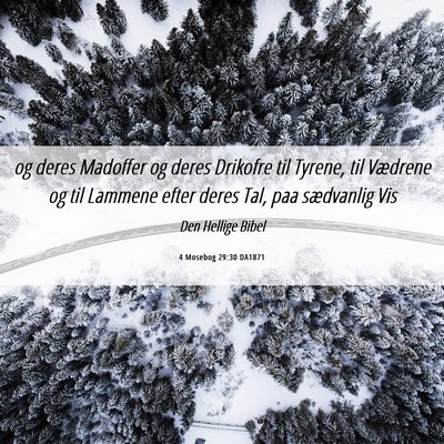 Picture 06 - 4 Mosebog 29:30 DA1871 - og deres Madoffer og deres Drikofre til Tyrene, - Bible Verse Picture