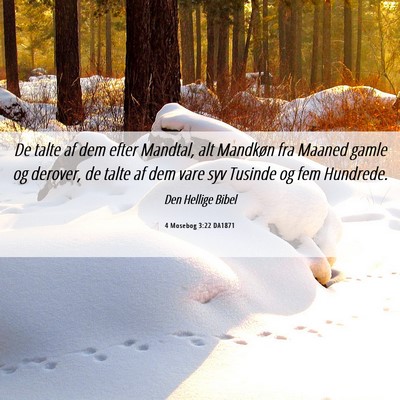 Picture 06 - 4 Mosebog 3:22 DA1871 - De talte af dem efter Mandtal, alt Mandkøn fra - Bible Verse Picture