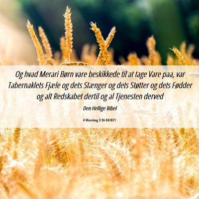 Picture 06 - 4 Mosebog 3:36 DA1871 - Og hvad Merari Børn vare beskikkede til at tage - Bible Verse Picture