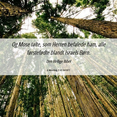 Picture 06 - 4 Mosebog 3:42 DA1871 - Og Mose talte, som Herren befalede ham, alle - Bible Verse Picture