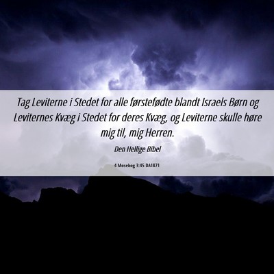 Picture 06 - 4 Mosebog 3:45 DA1871 - Tag Leviterne i Stedet for alle førstefødte - Bible Verse Picture