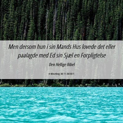 Picture 06 - 4 Mosebog 30:11 DA1871 - Men dersom hun i sin Mands Hus lovede det eller - Bible Verse Picture