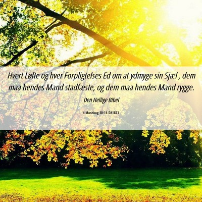 Picture 06 - 4 Mosebog 30:14 DA1871 - Hvert Løfte og hver Forpligtelses Ed om at - Bible Verse Picture