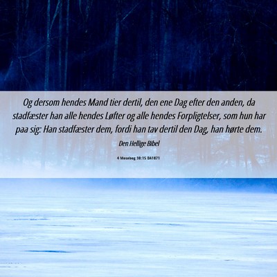 Picture 06 - 4 Mosebog 30:15 DA1871 - Og dersom hendes Mand tier dertil, den ene Dag - Bible Verse Picture