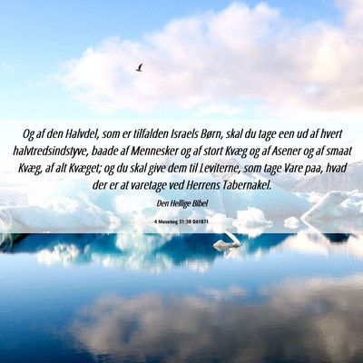 Picture 06 - 4 Mosebog 31:30 DA1871 - Og af den Halvdel, som er tilfalden Israels - Bible Verse Picture