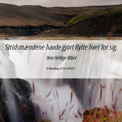 Picture 06 - 4 Mosebog 31:53 DA1871 - Stridsmændene havde gjort Bytte hver for - Bible Verse Picture