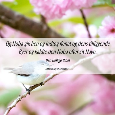 Picture 06 - 4 Mosebog 32:42 DA1871 - Og Noba gik hen og indtog Kenat og dens - Bible Verse Picture