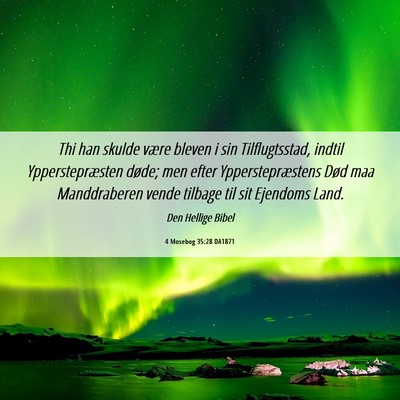 Picture 06 - 4 Mosebog 35:28 DA1871 - Thi han skulde være bleven i sin Tilflugtsstad, - Bible Verse Picture
