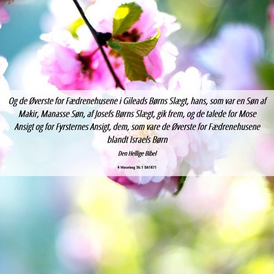 Picture 06 - 4 Mosebog 36:1 DA1871 - Og de Øverste for Fædrenehusene i Gileads - Bible Verse Picture