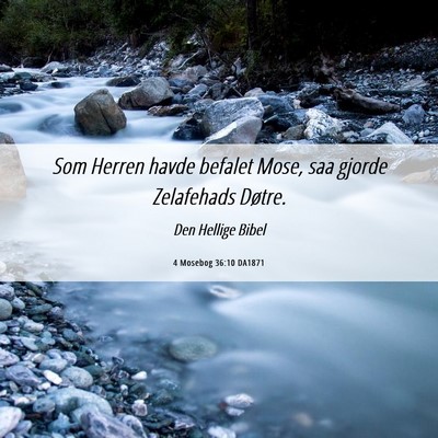Picture 06 - 4 Mosebog 36:10 DA1871 - Som Herren havde befalet Mose, saa gjorde - Bible Verse Picture