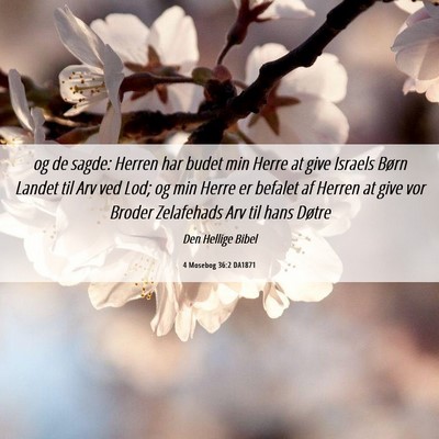 Picture 06 - 4 Mosebog 36:2 DA1871 - og de sagde: Herren har budet min Herre at give - Bible Verse Picture