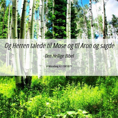 Picture 06 - 4 Mosebog 4:1 DA1871 - Og Herren talede til Mose og til Aron og - Bible Verse Picture