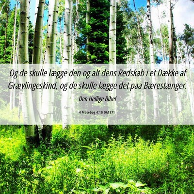 Picture 06 - 4 Mosebog 4:10 DA1871 - Og de skulle lægge den og alt dens Redskab i et - Bible Verse Picture