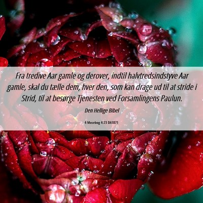 Picture 06 - 4 Mosebog 4:23 DA1871 - Fra tredive Aar gamle og derover, indtil - Bible Verse Picture