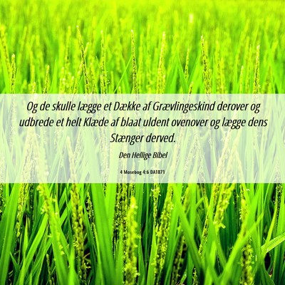 Picture 06 - 4 Mosebog 4:6 DA1871 - Og de skulle lægge et Dække af Grævlingeskind - Bible Verse Picture