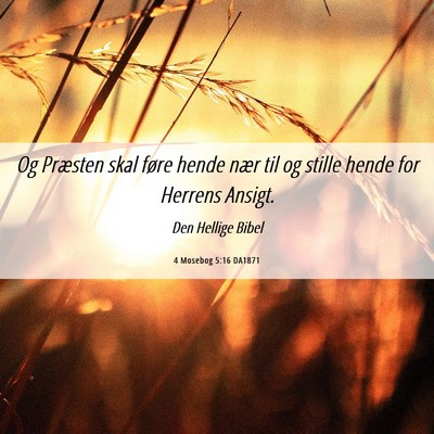 Picture 06 - 4 Mosebog 5:16 DA1871 - Og Præsten skal føre hende nær til og stille - Bible Verse Picture