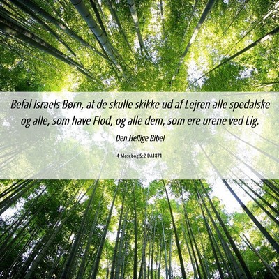 Picture 06 - 4 Mosebog 5:2 DA1871 - Befal Israels Børn, at de skulle skikke ud af - Bible Verse Picture