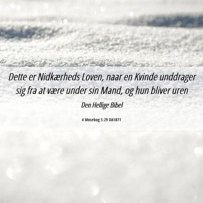 Picture 06 - 4 Mosebog 5:29 DA1871 - Dette er Nidkærheds Loven, naar en Kvinde - Bible Verse Picture