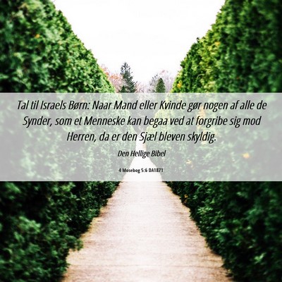 Picture 06 - 4 Mosebog 5:6 DA1871 - Tal til Israels Børn: Naar Mand eller Kvinde - Bible Verse Picture