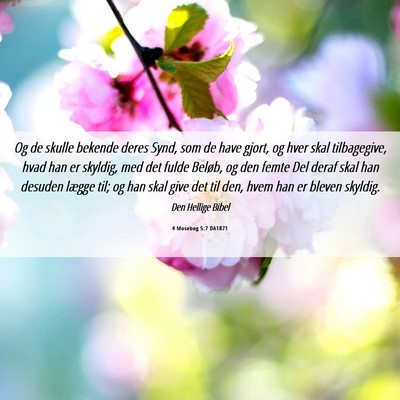 Picture 06 - 4 Mosebog 5:7 DA1871 - Og de skulle bekende deres Synd, som de have - Bible Verse Picture