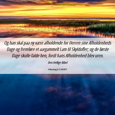 Picture 06 - 4 Mosebog 6:12 DA1871 - Og han skal paa ny være afholdende for Herren - Bible Verse Picture