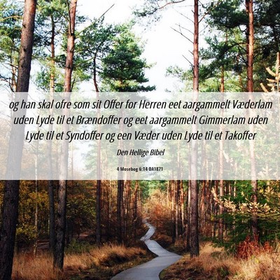 Picture 06 - 4 Mosebog 6:14 DA1871 - og han skal ofre som sit Offer for Herren eet - Bible Verse Picture