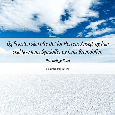 Picture 06 - 4 Mosebog 6:16 DA1871 - Og Præsten skal ofre det for Herrens Ansigt, og - Bible Verse Picture