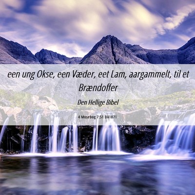 Picture 06 - 4 Mosebog 7:51 DA1871 - een ung Okse, een Væder, eet Lam, aargammelt, - Bible Verse Picture