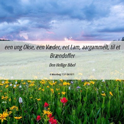 Picture 06 - 4 Mosebog 7:57 DA1871 - een ung Okse, een Væder, eet Lam, aargammelt, - Bible Verse Picture