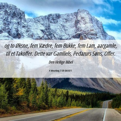 Picture 06 - 4 Mosebog 7:59 DA1871 - og to Øksne, fem Vædre, fem Bukke, fem Lam, - Bible Verse Picture