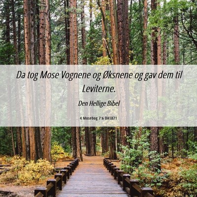 Picture 06 - 4 Mosebog 7:6 DA1871 - Da tog Mose Vognene og Øksnene og gav dem til - Bible Verse Picture