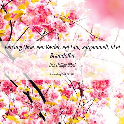Picture 06 - 4 Mosebog 7:69 DA1871 - een ung Okse, een Væder, eet Lam, aargammelt, - Bible Verse Picture