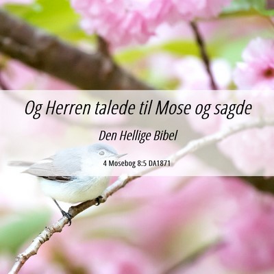 Picture 06 - 4 Mosebog 8:5 DA1871 - Og Herren talede til Mose og - Bible Verse Picture