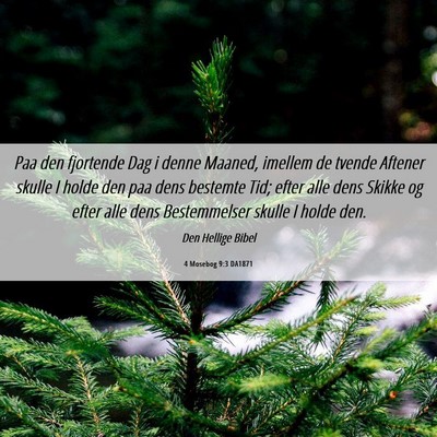 Picture 06 - 4 Mosebog 9:3 DA1871 - Paa den fjortende Dag i denne Maaned, imellem de - Bible Verse Picture