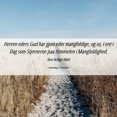Picture 06 - 5 Mosebog 1:10 DA1871 - Herren eders Gud har gjort eder mangfoldige, og - Bible Verse Picture