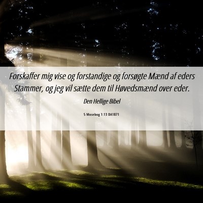 Picture 06 - 5 Mosebog 1:13 DA1871 - Forskaffer mig vise og forstandige og forsøgte - Bible Verse Picture
