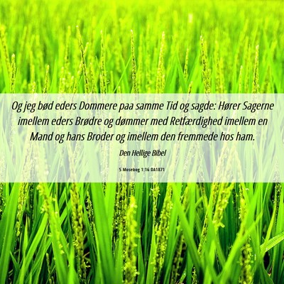 Picture 06 - 5 Mosebog 1:16 DA1871 - Og jeg bød eders Dommere paa samme Tid og sagde: - Bible Verse Picture