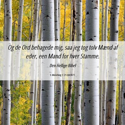 Picture 06 - 5 Mosebog 1:23 DA1871 - Og de Ord behagede mig, saa jeg tog tolv Mænd af - Bible Verse Picture