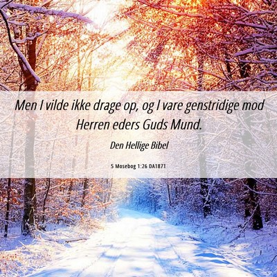 Picture 06 - 5 Mosebog 1:26 DA1871 - Men I vilde ikke drage op, og I vare genstridige - Bible Verse Picture