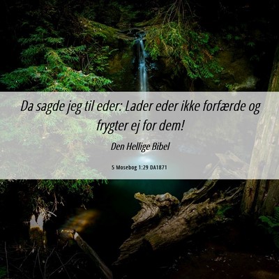 Picture 06 - 5 Mosebog 1:29 DA1871 - Da sagde jeg til eder: Lader eder ikke forfærde - Bible Verse Picture