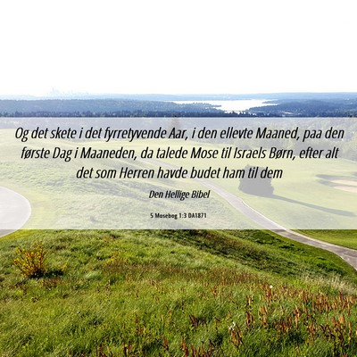 Picture 06 - 5 Mosebog 1:3 DA1871 - Og det skete i det fyrretyvende Aar, i den - Bible Verse Picture