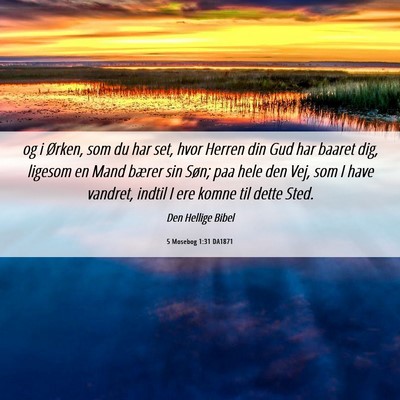 Picture 06 - 5 Mosebog 1:31 DA1871 - og i Ørken, som du har set, hvor Herren din Gud - Bible Verse Picture