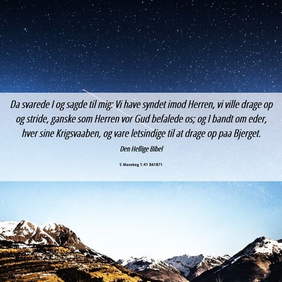 Picture 06 - 5 Mosebog 1:41 DA1871 - Da svarede I og sagde til mig: Vi have syndet - Bible Verse Picture