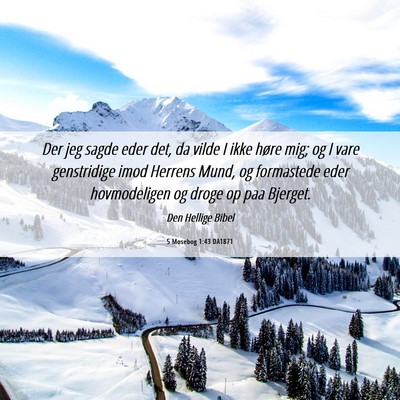 Picture 06 - 5 Mosebog 1:43 DA1871 - Der jeg sagde eder det, da vilde I ikke høre - Bible Verse Picture
