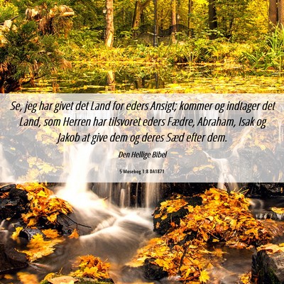 Picture 06 - 5 Mosebog 1:8 DA1871 - Se, jeg har givet det Land for eders Ansigt; - Bible Verse Picture