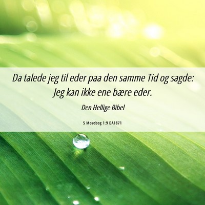 Picture 06 - 5 Mosebog 1:9 DA1871 - Da talede jeg til eder paa den samme Tid og - Bible Verse Picture